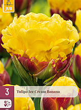 X   3 TULIPA ICE CREAM BANANA
