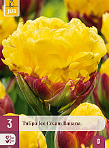 X   3 TULIPA ICE CREAM BANANA