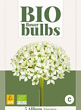 X   5 ALLIUM NIGRUM - BIO