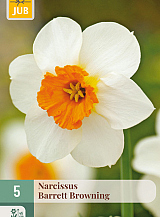 X   5 NARCISSUS BARRETT BROWNING