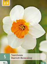 X   5 NARCISSUS BARRETT BROWNING