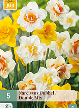 X 5 NARCISSUS DUBBEL MIX