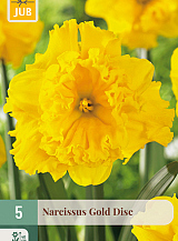 X   5 NARCISSUS GOLD DISC
