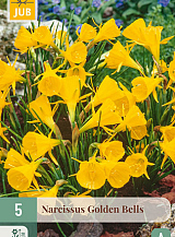 X 5 NARCISSUS GOLDEN BELLS