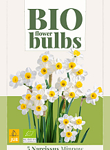 X   5 NARCISSUS MINNOW - BIO