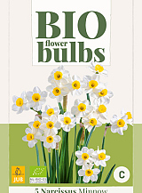 X   5 NARCISSUS MINNOW - BIO