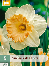 X   5 NARCISSUS MON CHERI