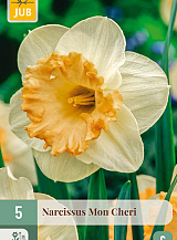 X 5 NARCISSUS MON CHERI