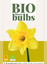 X   5 NARCISSUS RIJNVELDS EARLY SENSATION - BIO