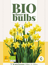 X   5 NARCISSUS TETE-A-TETE - BIO