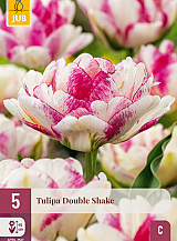 X   5 TULIPA DOUBLE SHAKE