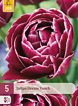 X   5 TULIPA DREAM TOUCH