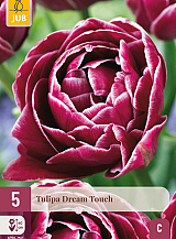 X 5 TULIPA DREAM TOUCH