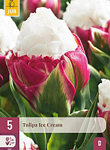 X 5 TULIPA ICE CREAM