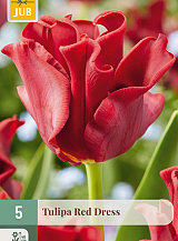 X   5 TULIPA RED DRESS