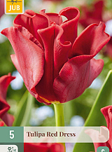 X 5 TULIPA RED DRESS