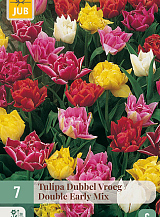 X 7 TULIPA DUBBEL VROEG MIX