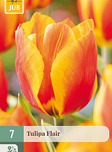 X   7 TULIPA FLAIR