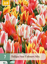 X   7 TULIPA FUN COLOURS