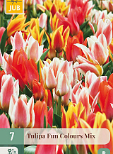 X 7 TULIPA FUN COLOURS