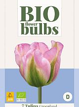 X   7 TULIPA GROENLAND - BIO