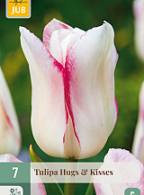 X   7 TULIPA HUGS & KISSES