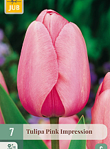 X   7 TULIPA PINK IMPRESSION