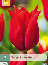 X   7 TULIPA PRETTY WOMAN