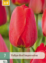X   7 TULIPA RED IMPRESSION