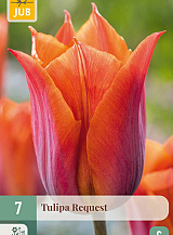 X 7 TULIPA REQUEST