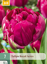X   7 TULIPA ROYAL ACRES