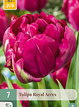 X   7 TULIPA ROYAL ACRES