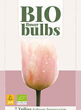 X   7 TULIPA SALMON IMPRESSION - BIO
