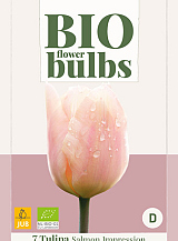 X   7 TULIPA SALMON IMPRESSION - BIO