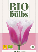 X   7 TULIPA SIESTA - BIO
