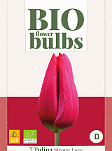 X   7 TULIPA STRONG LOVE - BIO