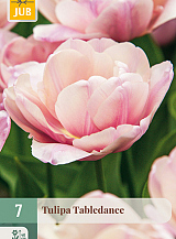 X   7 TULIPA TABLEDANCE