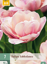 X   7 TULIPA TABLEDANCE
