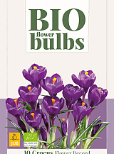 X 10 CROCUS FLOWER RECORD - BIO