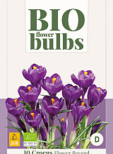 X 10 CROCUS FLOWER RECORD - BIO