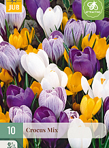 X 10 CROCUS GROOTBLOEMIG MIX