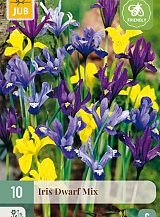 X 10 IRIS DWARF MIX