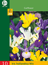 X 10 IRIS HOLLANDICA MIX