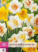 X 10 NARCISSUS DUBBEL MIX