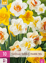 X 10 NARCISSUS DUBBEL MIX