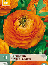 X 10 RANUNCULUS ORANJE VJ