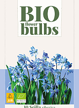 X 10 SCILLA SIBERICA - BIO