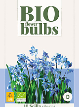 X 10 SCILLA SIBERICA - BIO