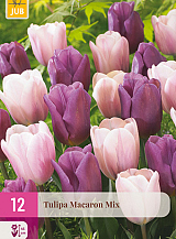 X 12 TULIPA MACARON MIX
