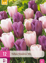 X 12 TULIPA MACARON MIX